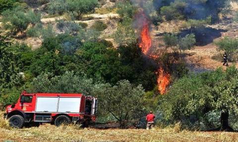 Κρήτη - «Συναγερμός» για πυρκαγιά - Στο σημείο δυνάμεις της Πυροσβεστικής