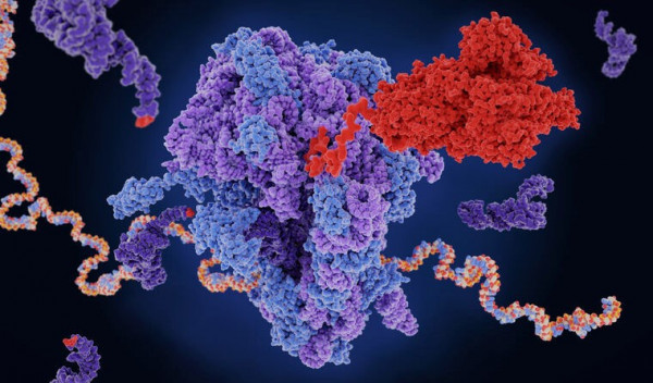 Γιώργος Δημητριάδης, ο πρωτοπόρος της τεχνολογίας mRNA