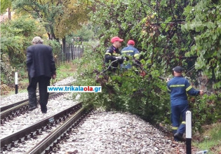 Τρίκαλα – Ακινητοποιήθηκε τρένο – Δέντρο έπεσε στις γραμμές εξαιτίας της κακοκαιρίας