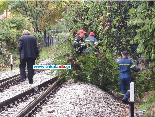 Τρίκαλα – Ακινητοποιήθηκε τρένο – Δέντρο έπεσε στις γραμμές εξαιτίας της κακοκαιρίας