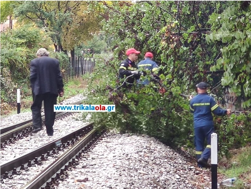 Τρίκαλα - Ακινητοποιήθηκε τρένο - Δέντρο έπεσε στις γραμμές εξαιτίας της κακοκαιρίας