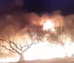 Μανωλάδα – Παρανάλωμα οι παράγκες των εργατών γης στα φραουλοχώραφα – Δύο τραυματίες