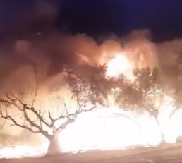 Μανωλάδα – Παρανάλωμα οι παράγκες των εργατών γης στα φραουλοχώραφα – Δύο τραυματίες