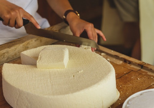 Αγροτικά ΔΙΕΚ – Πότε ξεκινούν οι εγγραφές – Όλες οι ειδικότητες