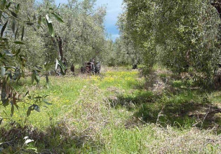 Υπουργοί Γεωργίας ΕΕ –  Στο επίκεντρο οι πρωτοβουλίες της Πράσινης Συμφωνίας