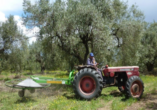 ΕΛΣΤΑΤ – Αυξημένο παραμένει το κόστος παραγωγής