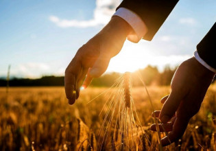 Φορολογικά κίνητρα στους αγρότες για να οργανωθούν στους Συνεταιρισμούς