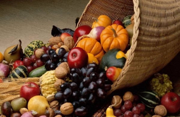 Αγροδιατροφή – Επενδυτικές ευκαιρίες για συνεργασία με τις αραβικές χώρες