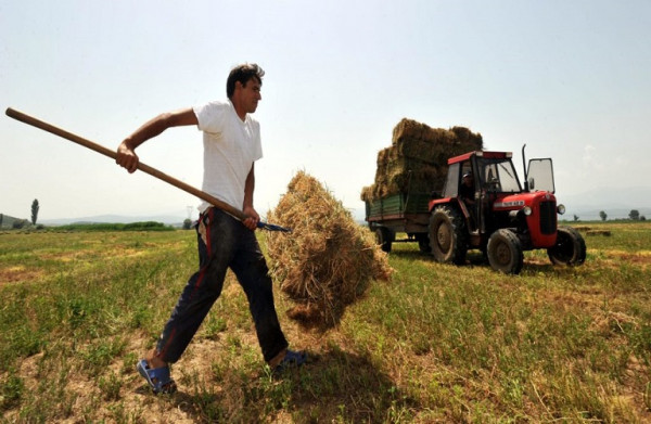 Πώς θα ενισχυθεί η θέση των αγροτών στην αλυσίδα παραγωγής