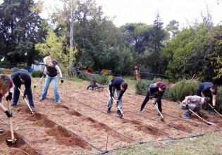 Οδηγός για τα δημόσια Αγροτικά ΙΕΚ – Όλα όσα πρέπει να γνωρίζετε 
