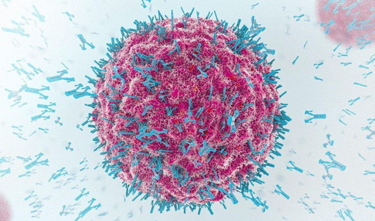 Κοροναϊός: Ξεκινούν οι διαδικασίες για την παραγωγή φαρμάκου – αντισώματος