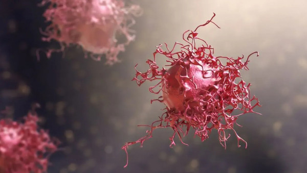 Αποδόμηση πρωτεϊνών υπόσχεται λύση σε πολλούς καρκίνους