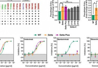 Μαγιορκίνης για Δέλτα plus – Τα υπάρχοντα εμβόλια παραμένουν αποτελεσματικά