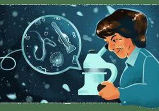 Angeles Alvarino – Η Google τιμά τη σπουδαία Ισπανίδα βιολόγο