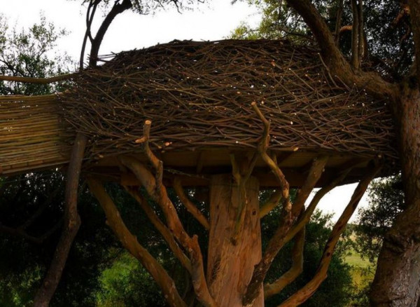 Έχετε δειπνήσει σε πελώρια φωλιά πάνω στα δενδρόσπιτο;