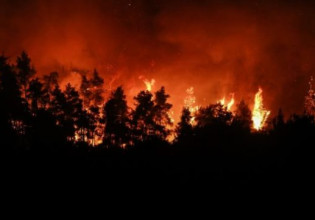 Φωτιά στην Ξάνθη – Πυρκαγιά στην περιοχή του Δασοχωρίου