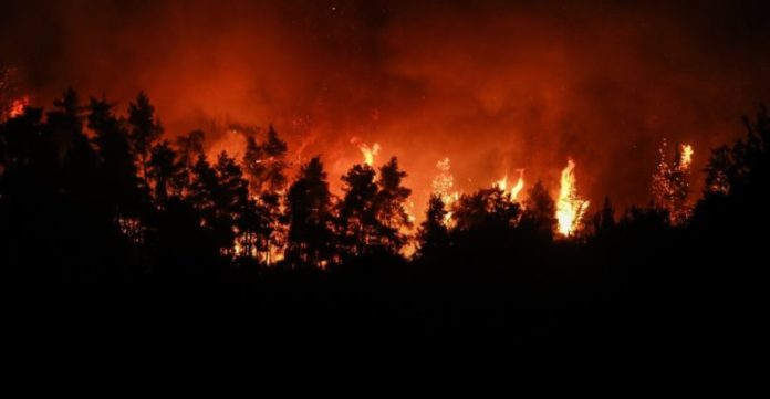 Φωτιά στην Ξάνθη - Πυρκαγιά στην περιοχή του Δασοχωρίου