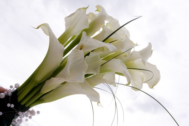 Κορονογάμος στη Νάουσα – Διαψεύδει ο νονός της νύφης ότι το ζευγάρι είχε πυρετό