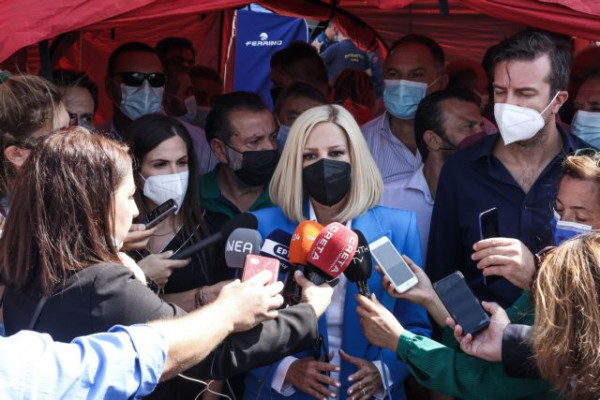 Γεννηματά – Πρέπει να «τρέξουν» τα αντιπλημμυρικά έργα στην Εύβοια και τις πυρόπληκτες περιοχές