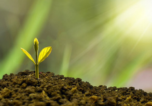 Νέα μέτρα για τον αμπελοοινικό και οπωροκηπευτικό τομέα – Τι περιλαμβάνουν