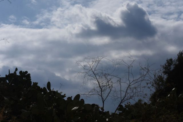 Υπό το μηδέν η θερμοκρασία σε περιοχές της Βόρειας Ελλάδας – Πού έδειξε το θερμότερο έως -4,5 βαθμούς Κελσίου