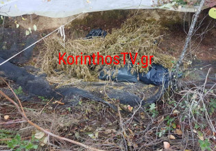 Κόρινθος – Συνελήφθησαν δύο άτομα με περισσότερα από 22 κιλά κάνναβης