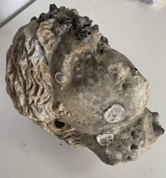 Πρέβεζα – Ανασύρθηκε από τη θάλασσα κεφαλή αγάλματος Ρωμαϊκών Χρόνων
