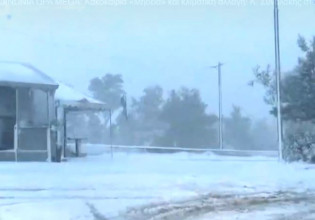 Έρευνα – Η κλιματική κρίση «ξυπνά» επικίνδυνους ιούς