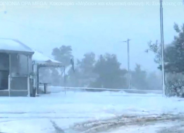 Έρευνα – Η κλιματική κρίση «ξυπνά» επικίνδυνους ιούς