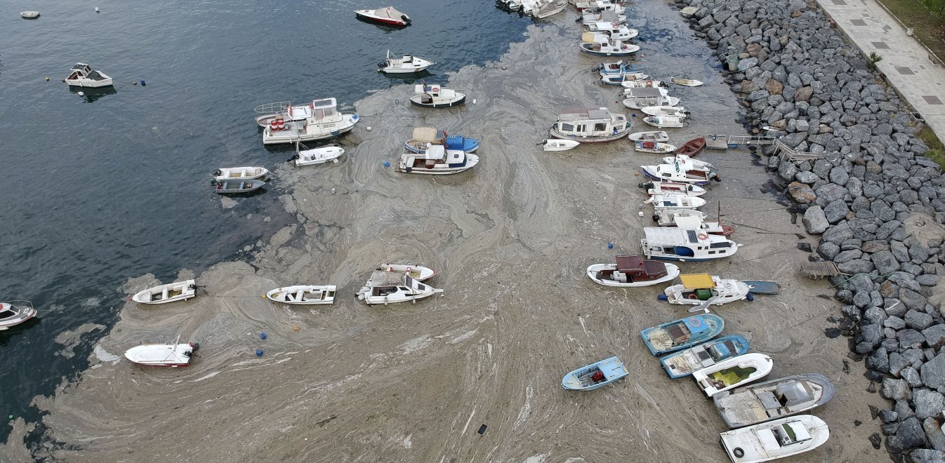 Θάλασσα Μαρμαρά - Η βλέννα θα φτάσει σιγά σιγά και στη χώρα μας – Τι λέει καθηγητής ωκεανογραφίας