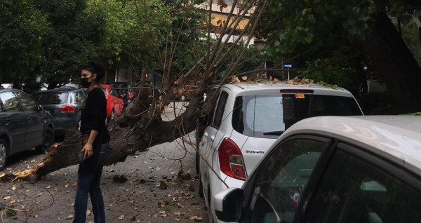 Παγκράτι – Πτώση δέντρου σε όχημα – Κανένας τραυματισμός