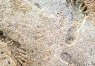 Σε ποιο ελληνικό νησί βρέθηκαν οι αρχαιότερες πατημασιές ανθρώπου – Είναι  6,05 εκατ. ετών