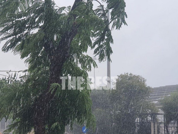 Πάτρα – Έφτασε η «Αθηνά» με βροχή και χαλάζι – Έπεσε δέντρο, γυναίκα εγκλωβίστηκε σε ασανσέρ