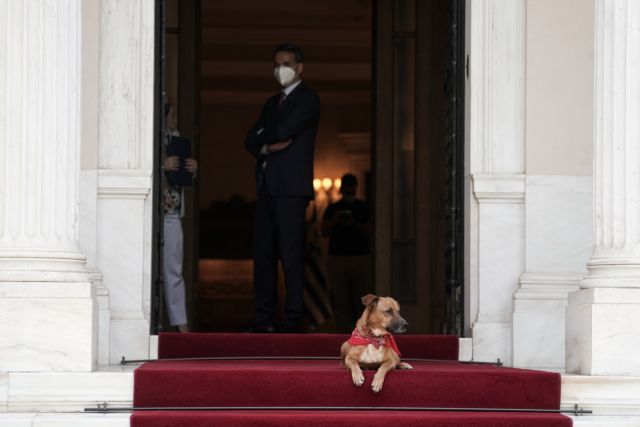Ο φόβος της Μέρκελ για τα σκυλιά και η «εξαφάνιση» του Πίνατ από το Μαξίμου