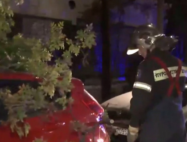 Θεσσαλονίκη – Πτώσεις δέντρων σε έξι σημεία της πόλης