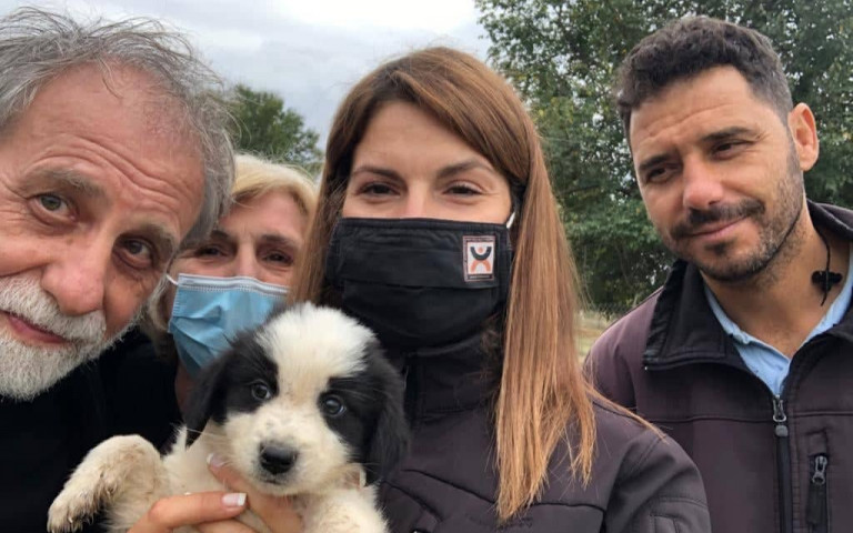 Στο παρά πέντε σώθηκε κουταβάκι