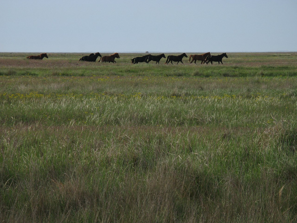 Η ελληνική γλώσσα στο διάβα του χρόνου – Η θεωρία περί εξάπλωσης των Ινδοευρωπαίων από την περιοχή του Δούναβη
