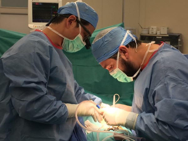 ΗΠΑ – Για πρώτη φορά στον κόσμο γιατροί συνέδεσαν με επιτυχία σε άνθρωπο νεφρό από χοίρο