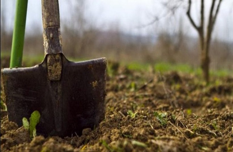 Υπουργοί Γεωργίας ΕΕ – Η πρόοδος των στρατηγικών σχεδίων της ΚΑΠ