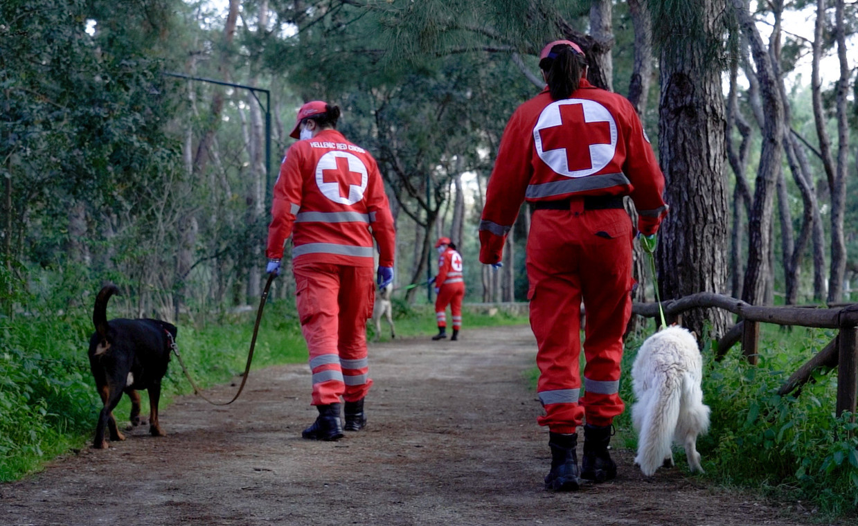Παγκόσμια Ημέρα Ζώων - Ο Ελληνικός Ερυθρός Σταυρός υποστηρίζει τα αδέσποτα της Αθήνας