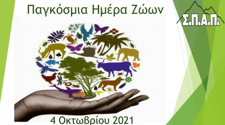 Όλα τα όντα γεννιούνται με ίσα δικαιώματα στη ζωή