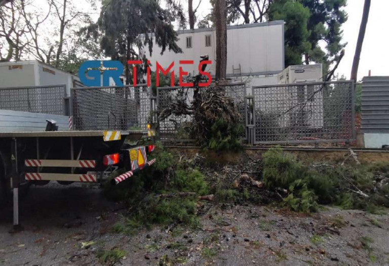 Κακοκαιρία «Αθηνά» – Πτώσεις δέντρων και προβλήματα στην ηλεκτροδότηση σε Θεσσαλονίκη και Κέρκυρα