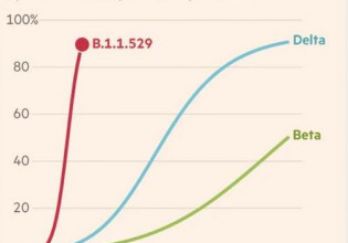Κοροναϊός – Τα κρούσματα της μετάλλαξης Μποτσουάνα πενταπλασιάστηκαν σε μία ημέρα – Δείτε γράφημα των FT