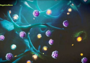 Μποτσουάνα – «Διπλωμάτες που ταξίδεψαν στην Άπω Ανατολή τα πρώτα κρούσματα» – Τι λέει Έλληνας που ζει στη χώρα