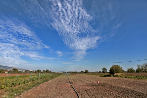 Θεσσαλονίκη – Εξαφανισμένος παραμένει ο επιχειρηματίας από το Ζαγκλιβέρι