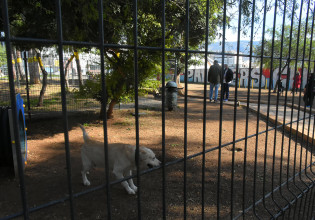 Κλείνει το πάρκο σκύλων της Νέας Σμύρνης