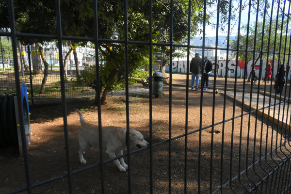 Κλείνει το πάρκο σκύλων της Νέας Σμύρνης