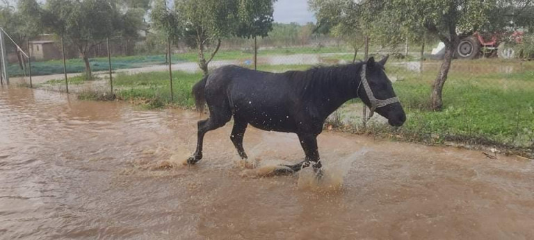 Μυλωνάς: «Να κηρυχθεί ο Δήμος σε κατάσταση έκτακτης ανάγκης»