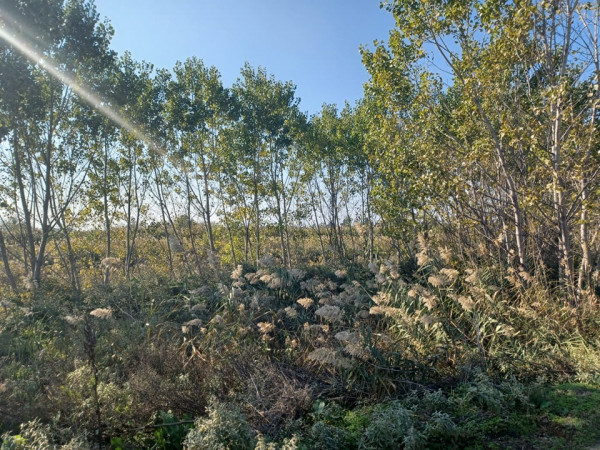 Απίστευτο – 50 χρόνια έχει να καθαριστεί το ρέμα Βαρδαρόβαση