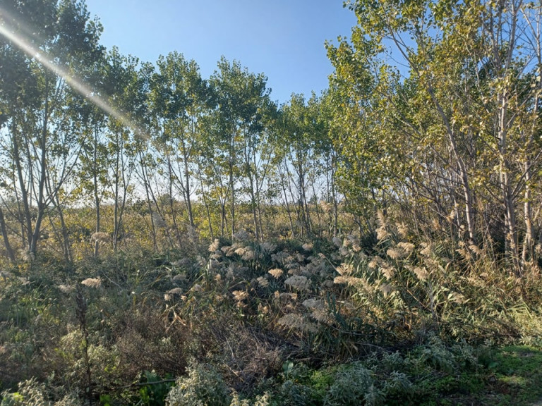 Απίστευτο – 50 χρόνια έχει να καθαριστεί το ρέμα Βαρδαρόβαση